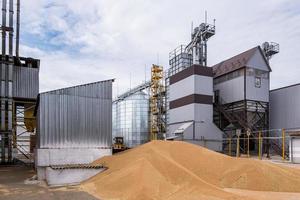 moderno ascensore per granaio. silos d'argento su impianti di agro-lavorazione e produzione per la lavorazione di essiccamento, pulitura e stoccaggio di prodotti agricoli, farine, cereali e granaglie. foto