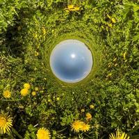 blu sfera poco pianeta dentro dente di leone campo. foto