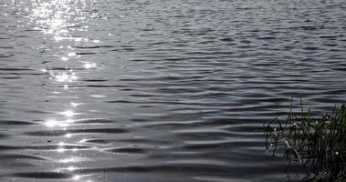 bagliore di luce del sole su il superficie di il lago acqua con piccolo onde foto