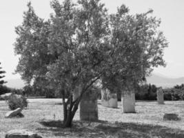 il città di tunis foto