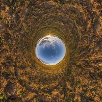 palla di cielo blu nel mezzo del campo vorticoso. inversione del minuscolo pianeta trasformazione del panorama sferico a 360 gradi. curvatura dello spazio. foto