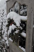 inverno nel il giardino foto