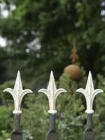 estati fiori nel il giardino foto