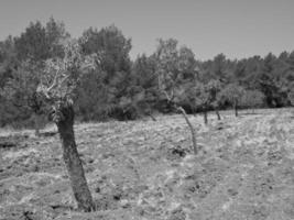 isola di ibiza in spagna foto