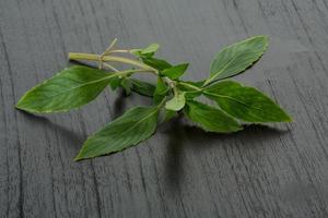 bergamotto le foglie su di legno sfondo foto