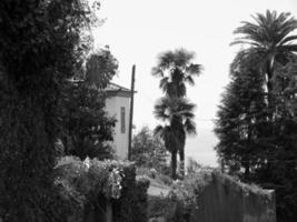 funchal e l'isola di Madera foto