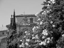 nel il francese provence foto