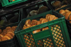 pane fabbrica produzione foto