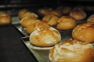 pane fabbrica produzione foto