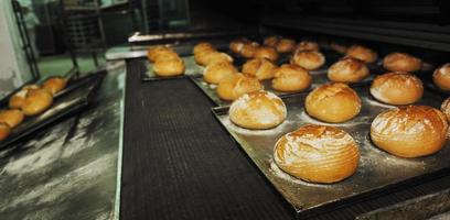 pane fabbrica produzione foto