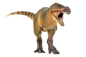 tirannosauro rex dinosauro su bianca isolato sfondo ritaglio sentiero foto