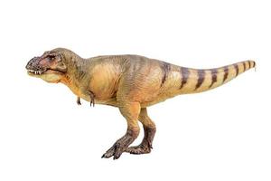 tirannosauro rex dinosauro su bianca isolato sfondo ritaglio sentiero foto