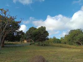 Ciao estate vacanza viaggio naturale bellissimo paesaggio prato sfondo sfondo fotografia Immagine foto