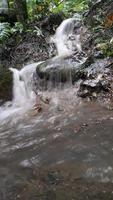 un' piccolo cascata quello si verifica quando esso piove pesantemente nel il foresta. foto