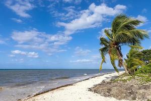 Messico, spiagge, giochi, e alberghi di cozumel isola, turismo e vacanza destinazione foto