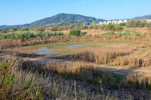 llobregat fiume come esso passa attraverso il vicinanza di il città di barcellona. foto