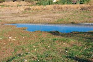 zone umide nel il vicinanza di un' fiume foto