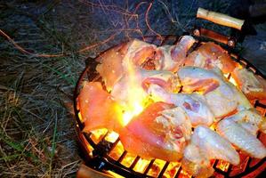 pollo su griglia foto