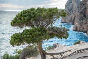 sa pedrera de cala de orribile, atlantis a in ritardo pomeriggio foto