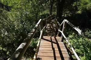 di legno ponte al di sopra di selvaggio fiume foto