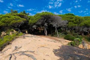 costa brava catalano costiero strada, sant feliu de guixol, Spagna foto