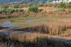 llobregat fiume come esso passa attraverso il vicinanza di il città di barcellona. foto