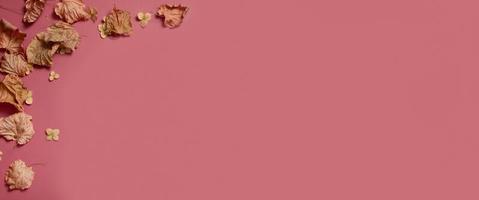 d'oro autunno autunno le foglie di diverso forme su rosa sfondo. autunno concetto, autunno sfondo. minimo floreale disegno, autunno foglia telaio con copia spazio. autunno creativo composizione. bandiera foto