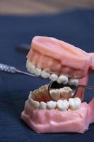 il dentista è Tenere dentiere nel il suo mani. foto