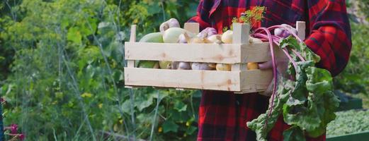 di legno scatola con verdure nel mani. striscione. raccogliere concetto foto