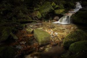 Visualizza di autunno cascate foto