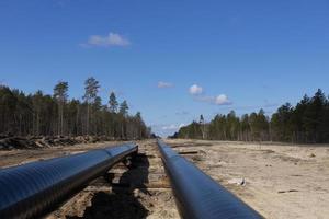 greggio olio e naturale gas tubatura costruzione opera nel foresta la zona. prodotto petrochimico tubo su superiore di di legno supporta. installazione e costruzione il tubatura per trasporto gas per lng pianta foto