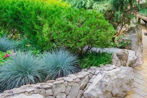 bellissimo letto di fiori nel un' parco nel un' soleggiato giorni. molti diverso fiori si riunirono insieme foto