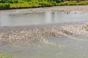 natura paesaggio - montagna fiume e riva linea foto