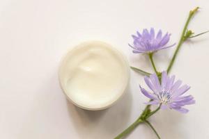 idratante crema vaso e cicoria superiore Visualizza . naturale cosmetologia Prodotto, biologico cosmetici creativo concetto. bianca plastica contenitore con facciale, corpo balsamo. donne pelle cura. foto