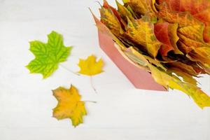 autunno mazzo di asciutto acero le foglie nel rosso carta Borsa su bianca sfondo. autunno shopping concetto con copia spazio foto