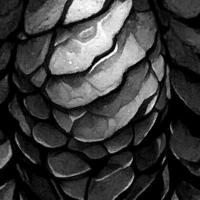 serpente scala struttura senza soluzione di continuità monocromatico foto