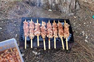 verdure e carne siamo fritte su il griglia. foto