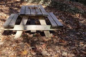 panchina per il riposo nel parco cittadino. foto