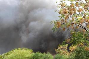 fuoco - incontrollato ardente causando proprietà danno. foto