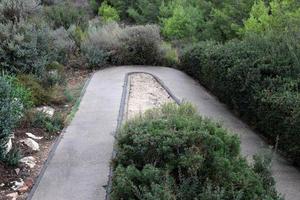 pedone strada nel il città parco. foto