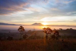 alba nebbiosa mattutina al parco nazionale di thung salang luang phetchabun, tailandia foto