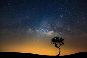 paesaggio silhouette di albero con latteo modo galassia e spazio polvere nel il universo, notte stellato cielo con stelle foto