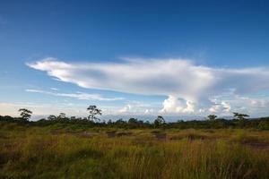 paesaggio blu cielo con nube a phu hin rong kla nazionale parco, phitsanulok Tailandia foto