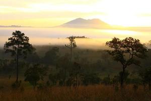 alba nebbiosa mattina in montagna al parco nazionale di Thung Salang Luang Phetchabun, Thailandia foto