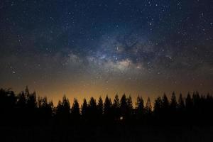 bellissimo via Lattea e silhouette di pino albero su un' notte cielo prima Alba foto