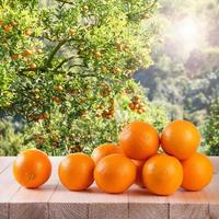 arancia fresca sulla tavola di legno in giardino foto
