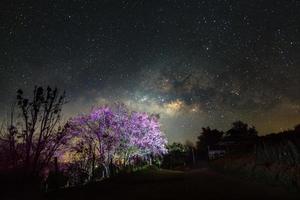 paesaggio latteo modo galassia e ciliegia fiorire sentiero nel khun wang Chiang Mai, Tailandia. lungo esposizione fotografare.con grano foto