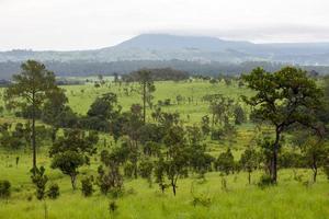 bellissimo montagna scenario a tung salang luang nazionale parco phetchabun, Tailandia foto