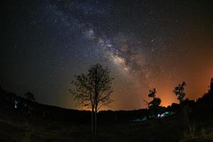 via lattea e silhouette di albero al parco nazionale di phu hin rong kla, phitsanulok thailandia, fotografia a lunga esposizione con grano foto