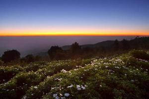 bellissimo crepuscolo ora.mattina Alba a huai nam dang nazionale parco, chiang mai, Tailandia foto